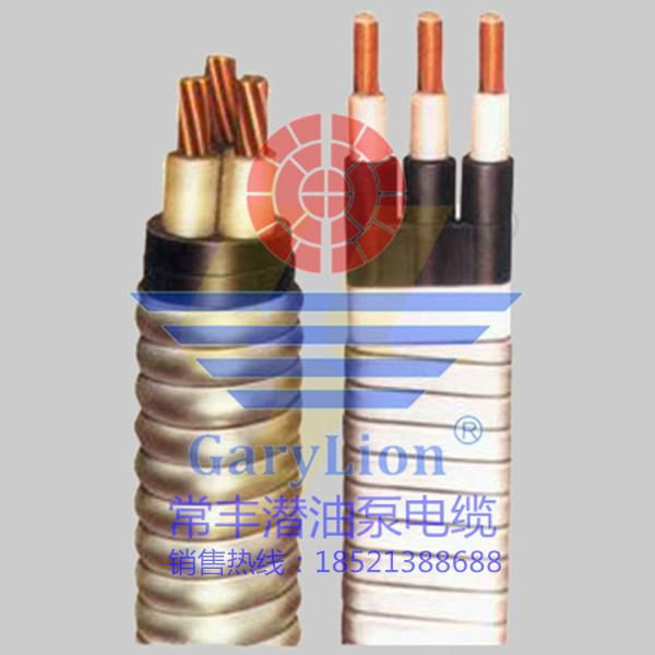 Submersible oil pump ESP cable 4