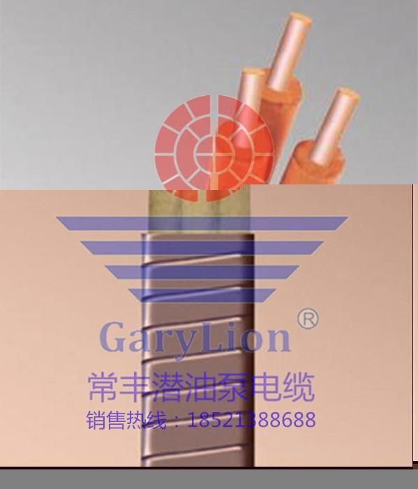 Submersible oil pump ESP cable 2