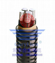 Flame-retardant XLPE insulated AAAC