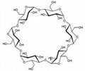 alpha cyclodextrin  1