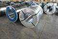 Galvanized steel coil 3