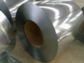 Galvanized steel coil 5