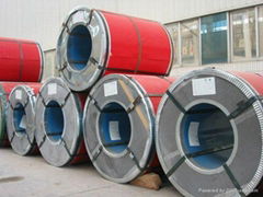 Prepainted galvanized steel