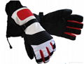 Water-proof Snow Boarding and  Thinsulate Leather Skiing Glove  