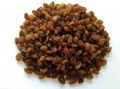 Sultana Raisins