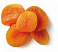 Dried Apricot 1