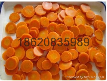 廚房專用多功能切菜機 3