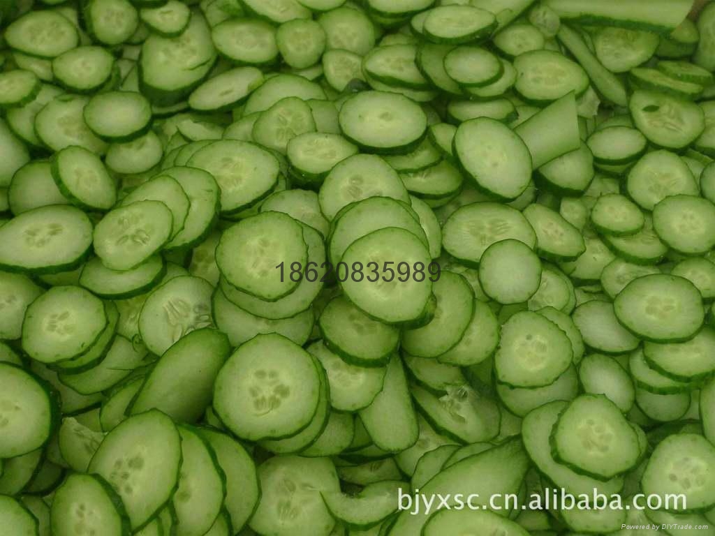 廚房專用多功能切菜機 5