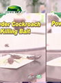 .Cockroach Killing Bait Powder Roach