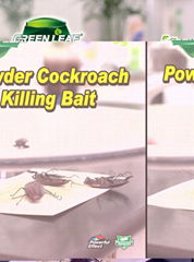 .Cockroach Killing Bait Powder Roach Killer SKYPE ID: skysky81589