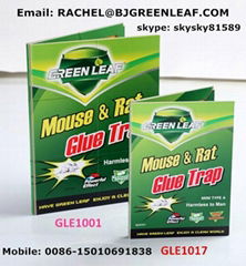 Mouse Glue Traps(Paper Board) SKYPE: skysky81589 
