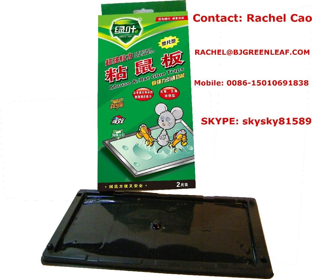 Mouse and Rats Trap Glue Board Plastic Board SKYPE ID: skysky81589 3