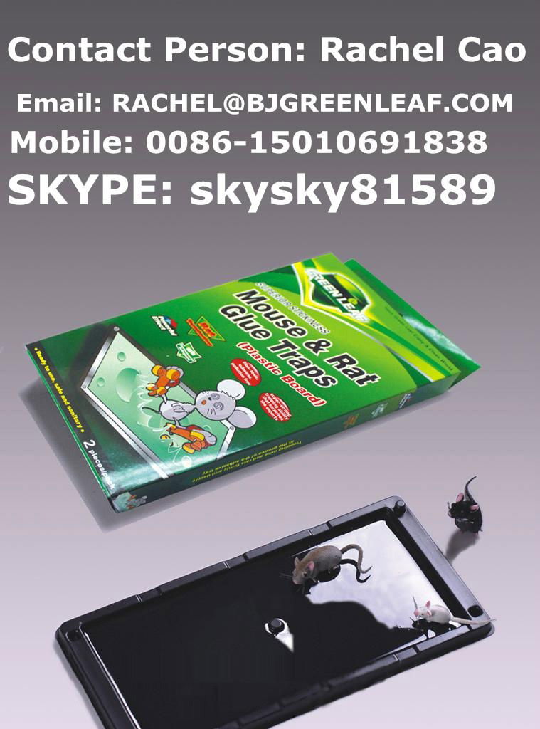 Mouse& Rat Glue Traps plastic board SKYPE ID: skysky81589 3