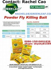 Killing flies quickly in 30 seconds attract fly SKYPE ID: skysky81589  