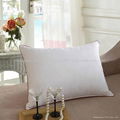 White Down Pillow Insert