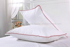  Feather and Down Pillow Inner