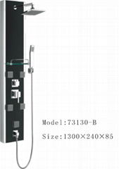 2014 new shower panel