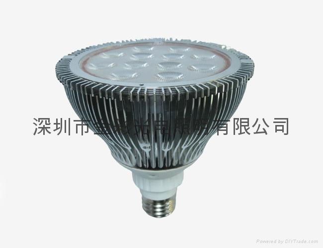 12W Waterproof PAR38 IP65