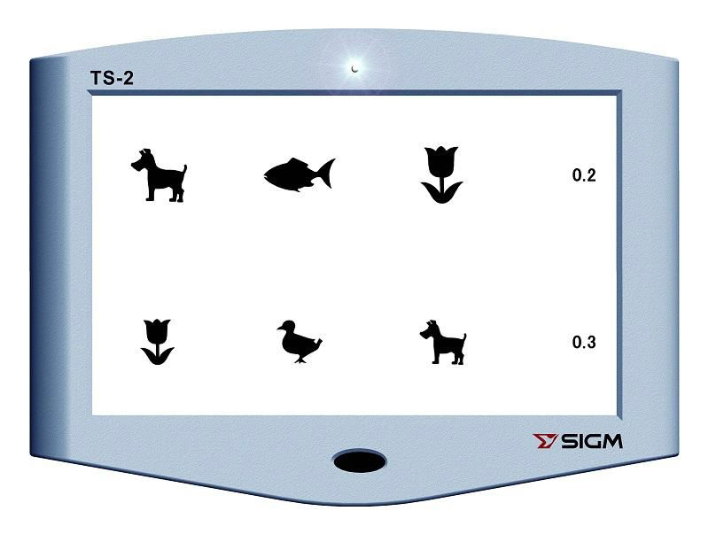 NEW Polarized Vision Chart Projector