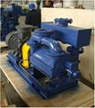 vacuum pump