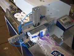 Double Conveying Toilet Paper Packing Machine For Multiple Rolls