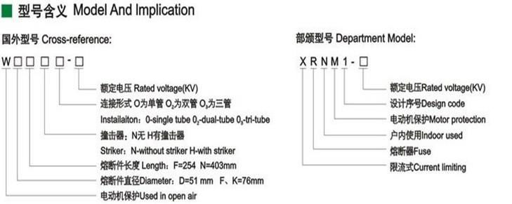 H. V. HRC Current-Limiting Fuses Type W for Motor Protection 2