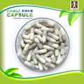 empty capsule 1