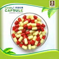 empty capsule 2