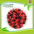 empty capsule 3