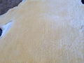 Lambskin for Fashionable Garment Products 1