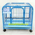 Square tube dog cages 1