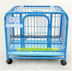 Square tube dog cages