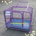 Square tube dog cages 2