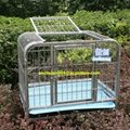 Square tube dog cages 3