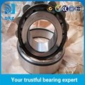 N317 Cylindrical roller bearing