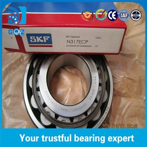 N317 Cylindrical roller bearing 2