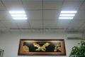 Grille LED Embedded Panel Light 5