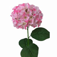  cheap real tonch wholesale hydrangea artificial flowers