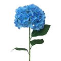  cheap real tonch wholesale hydrangea artificial flowers 3