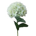  cheap real tonch wholesale hydrangea artificial flowers 4