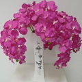  china import wholesale artificial orchid for sale 2