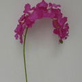  china import wholesale artificial orchid for sale 5