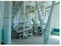 Corn germ oil processing plant