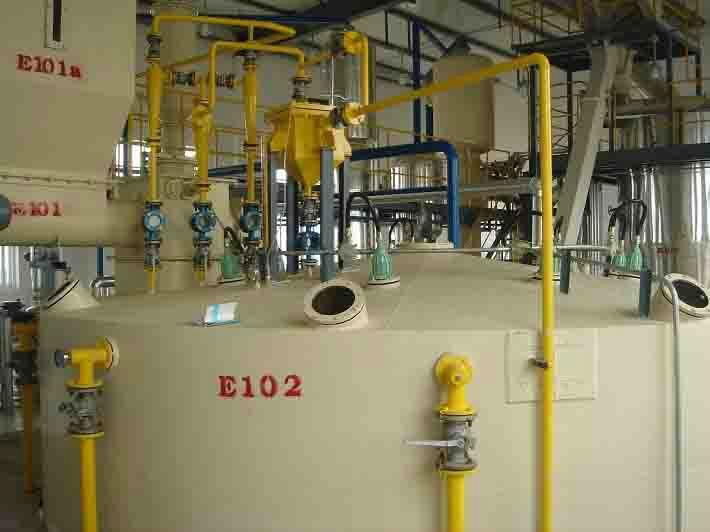 Sunflower seed oil plant