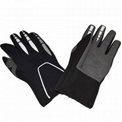 Motorcycle gloves 