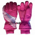 Skiing gloves 5