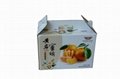carton box 4