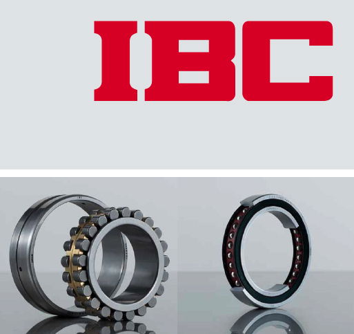 IBC HIGH PRECISION BEARINGS FAG 