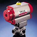 T-Type 3 Way 304 ANSI Stainless Steel Flange End Ball Valve 3