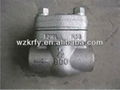 API Forged Check Valve